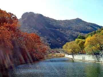 澳门二四六天天彩图库，王新政白马寺痛消贴